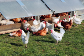 现代化规模；；；；；；臣巴涝准庸は钅靠尚行匝芯勘ǜ