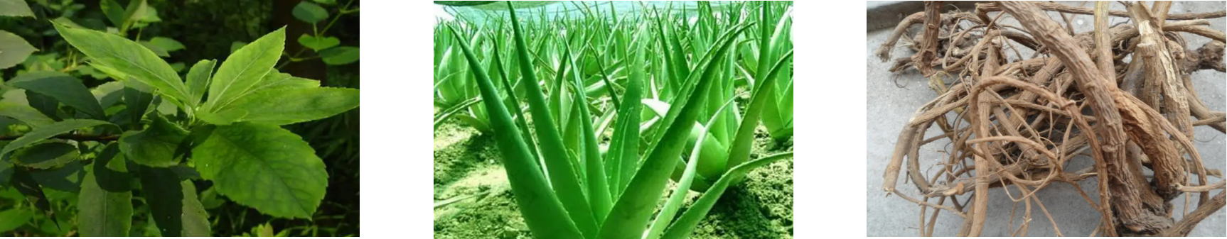 pg电子游戏试玩(模拟器)官方网站 -手机版app下载
