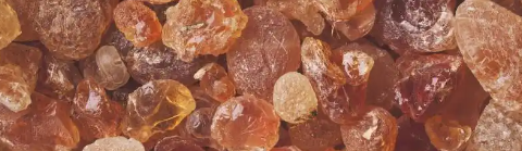 pg电子游戏试玩(模拟器)官方网站 -手机版app下载