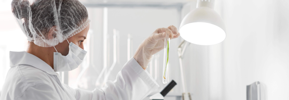 pg电子游戏试玩(模拟器)官方网站 -手机版app下载