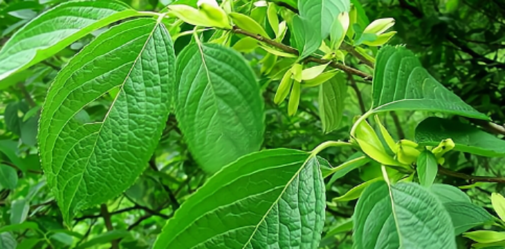 pg电子游戏试玩(模拟器)官方网站 -手机版app下载