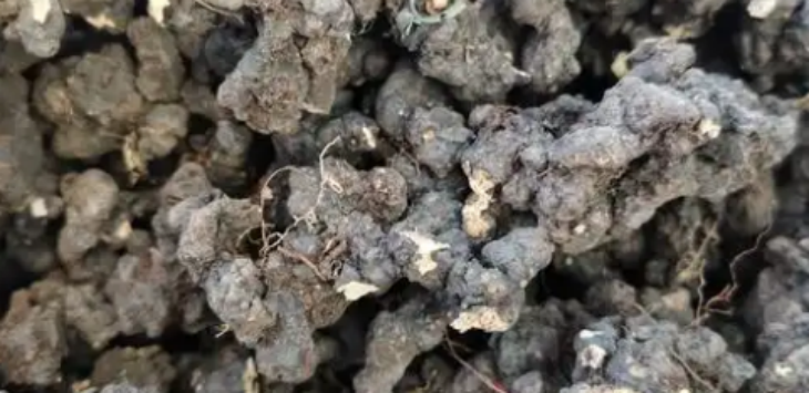 pg电子游戏试玩(模拟器)官方网站 -手机版app下载