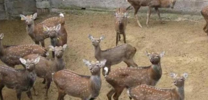 pg电子游戏试玩(模拟器)官方网站 -手机版app下载