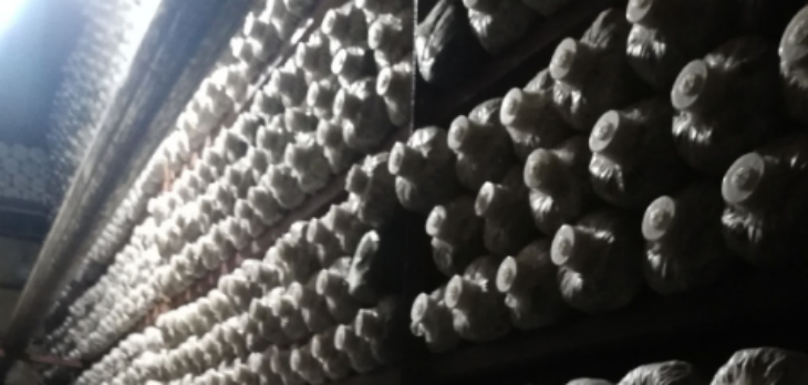 pg电子游戏试玩(模拟器)官方网站 -手机版app下载