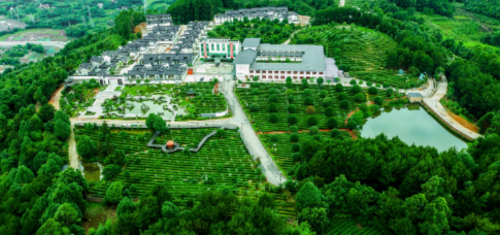 pg电子游戏试玩(模拟器)官方网站 -手机版app下载