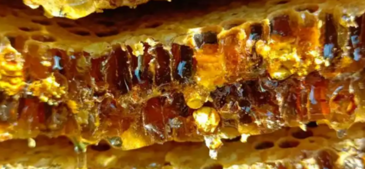 pg电子游戏试玩(模拟器)官方网站 -手机版app下载