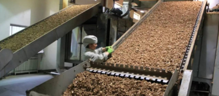 pg电子游戏试玩(模拟器)官方网站 -手机版app下载