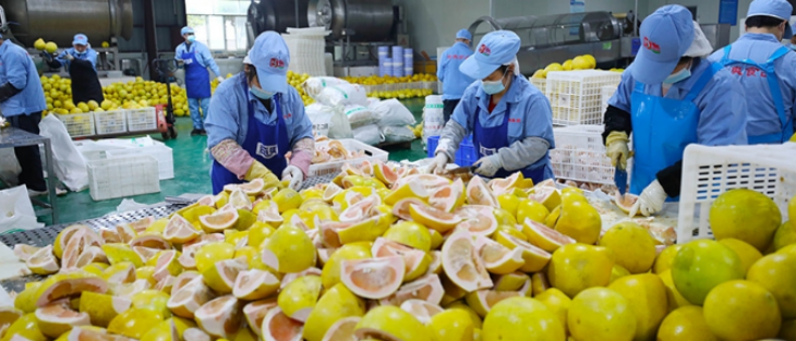 pg电子游戏试玩(模拟器)官方网站 -手机版app下载