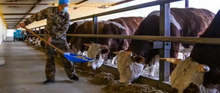 pg电子游戏试玩(模拟器)官方网站 -手机版app下载