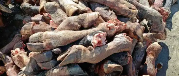 pg电子游戏试玩(模拟器)官方网站 -手机版app下载