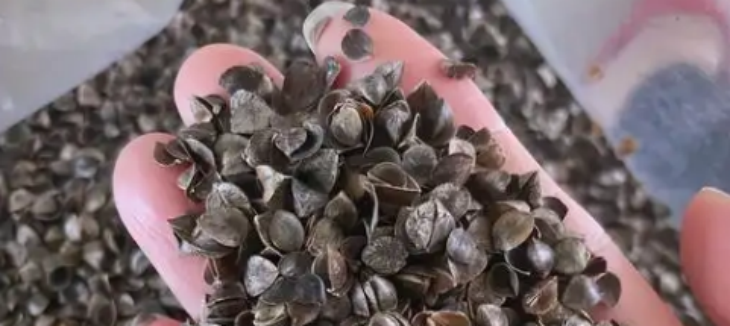 pg电子游戏试玩(模拟器)官方网站 -手机版app下载