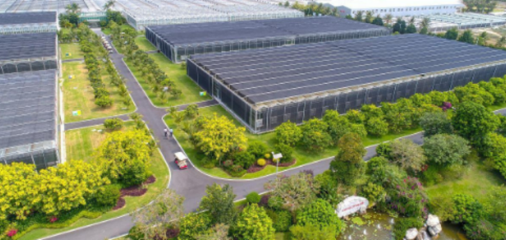 pg电子游戏试玩(模拟器)官方网站 -手机版app下载