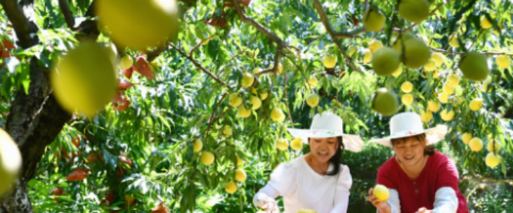 pg电子游戏试玩(模拟器)官方网站 -手机版app下载