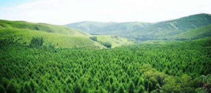 pg电子游戏试玩(模拟器)官方网站 -手机版app下载