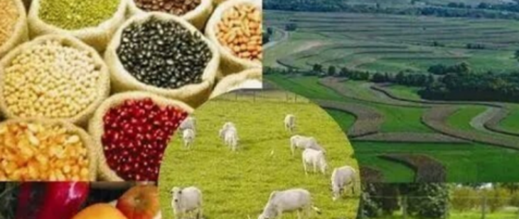 pg电子游戏试玩(模拟器)官方网站 -手机版app下载