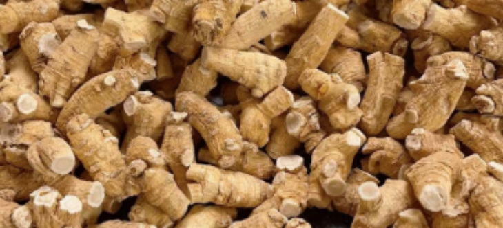 pg电子游戏试玩(模拟器)官方网站 -手机版app下载