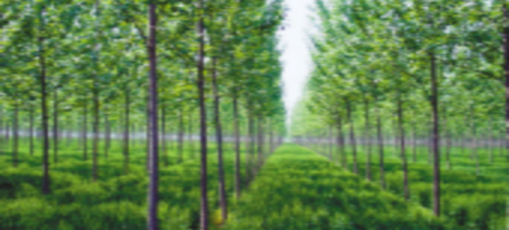 pg电子游戏试玩(模拟器)官方网站 -手机版app下载