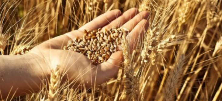 pg电子游戏试玩(模拟器)官方网站 -手机版app下载