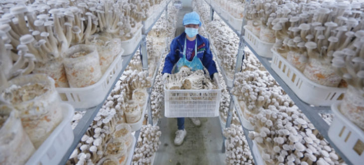 pg电子游戏试玩(模拟器)官方网站 -手机版app下载