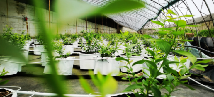 pg电子游戏试玩(模拟器)官方网站 -手机版app下载