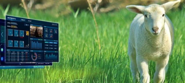 pg电子游戏试玩(模拟器)官方网站 -手机版app下载