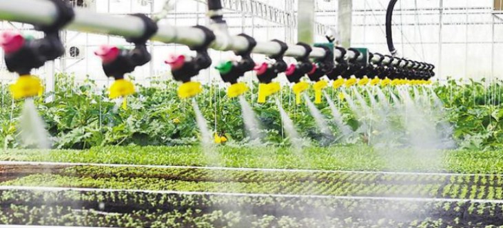 pg电子游戏试玩(模拟器)官方网站 -手机版app下载