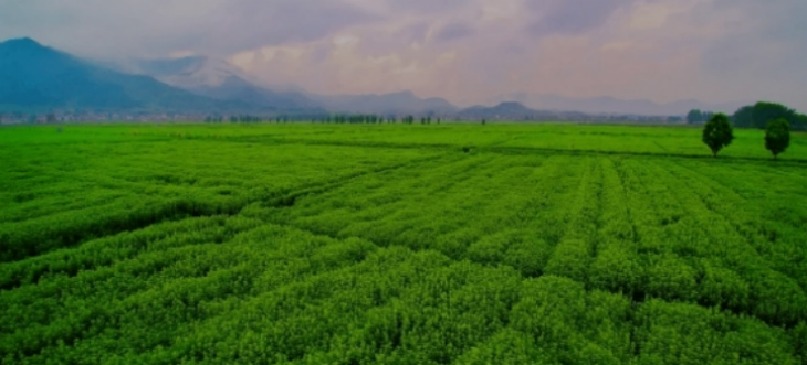 pg电子游戏试玩(模拟器)官方网站 -手机版app下载