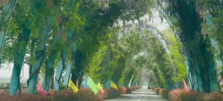 pg电子游戏试玩(模拟器)官方网站 -手机版app下载