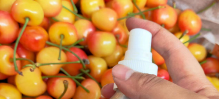 pg电子游戏试玩(模拟器)官方网站 -手机版app下载